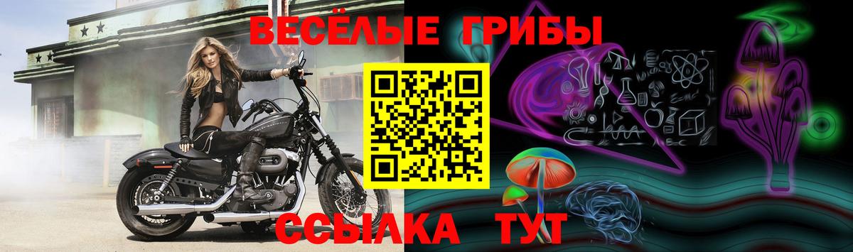 Псилоцибиновые грибы ЛСД  Вход с VPN  Псилоцибиновые грибы GOLDEN TEACHER  купить   Усинск 